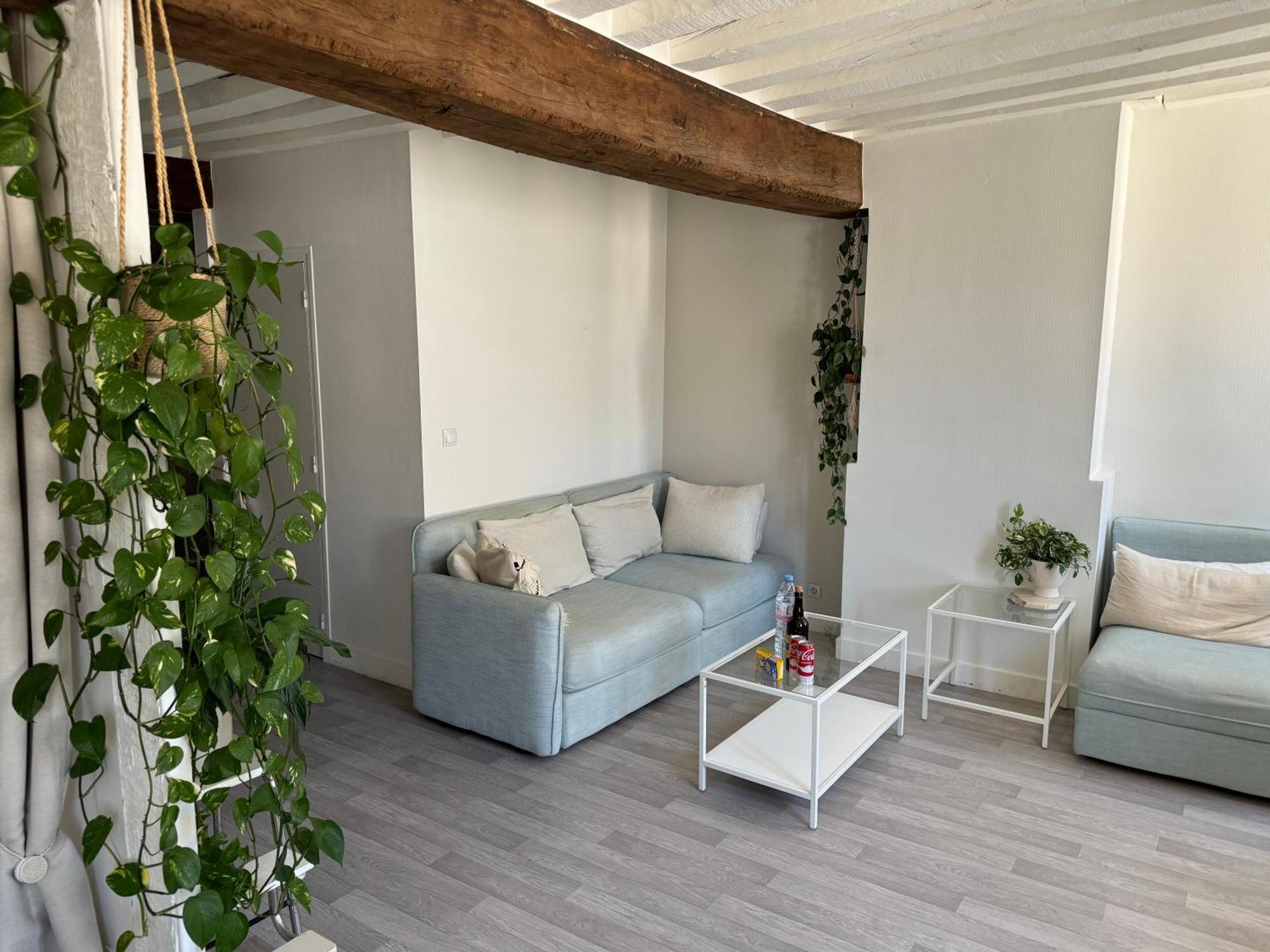 Appartement Central - Orlean Zewnętrze zdjęcie