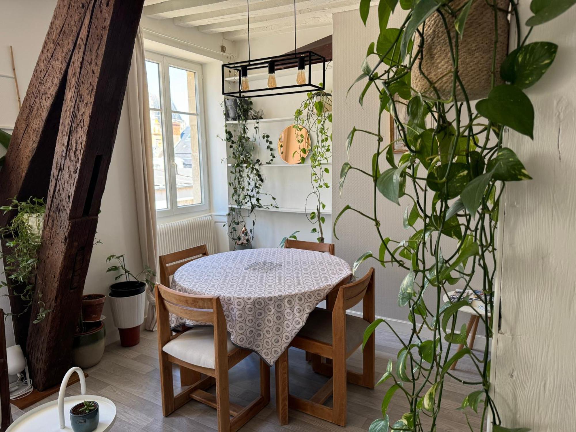 Appartement Central - Orlean Zewnętrze zdjęcie