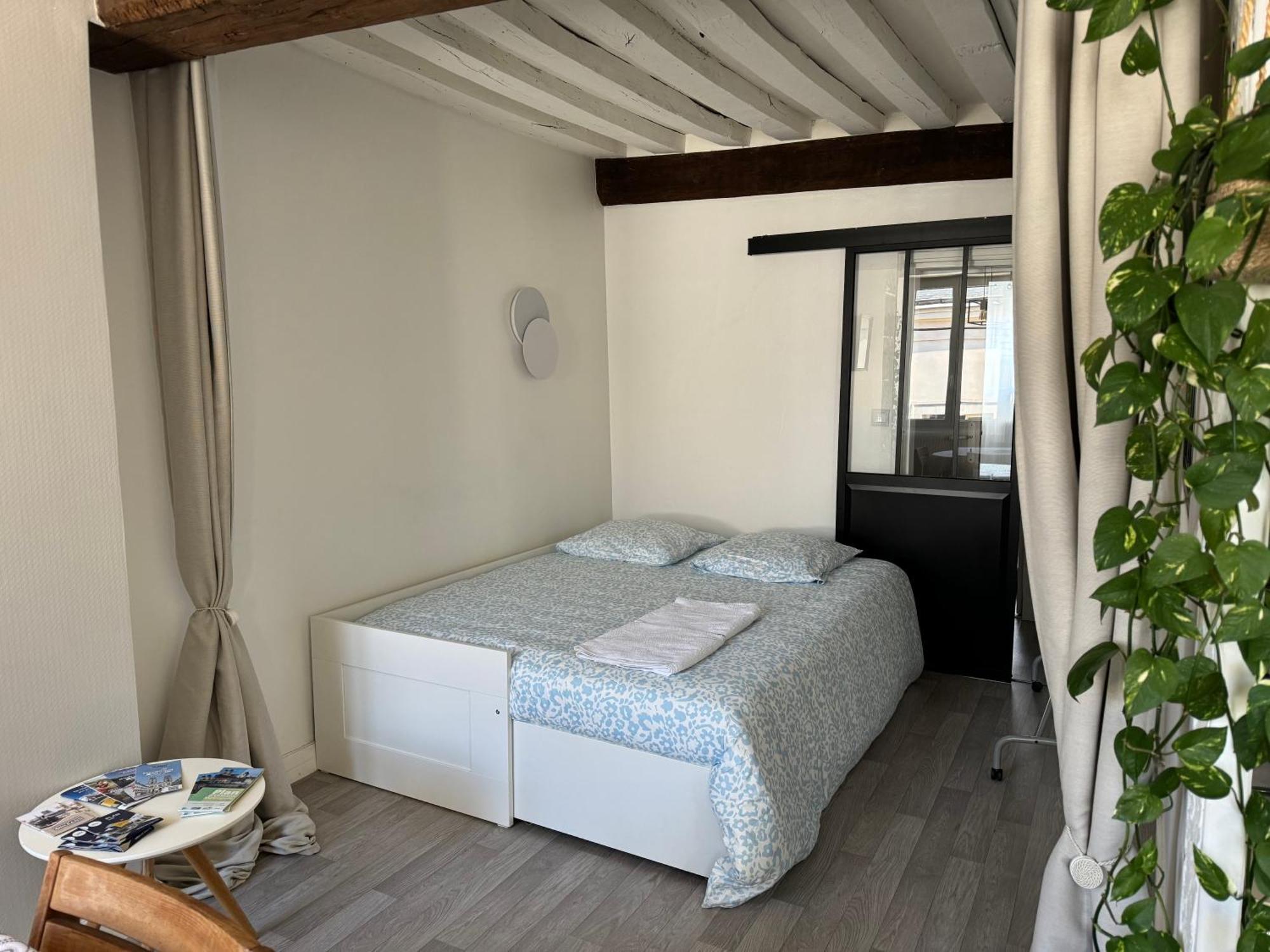 Appartement Central - Orlean Zewnętrze zdjęcie