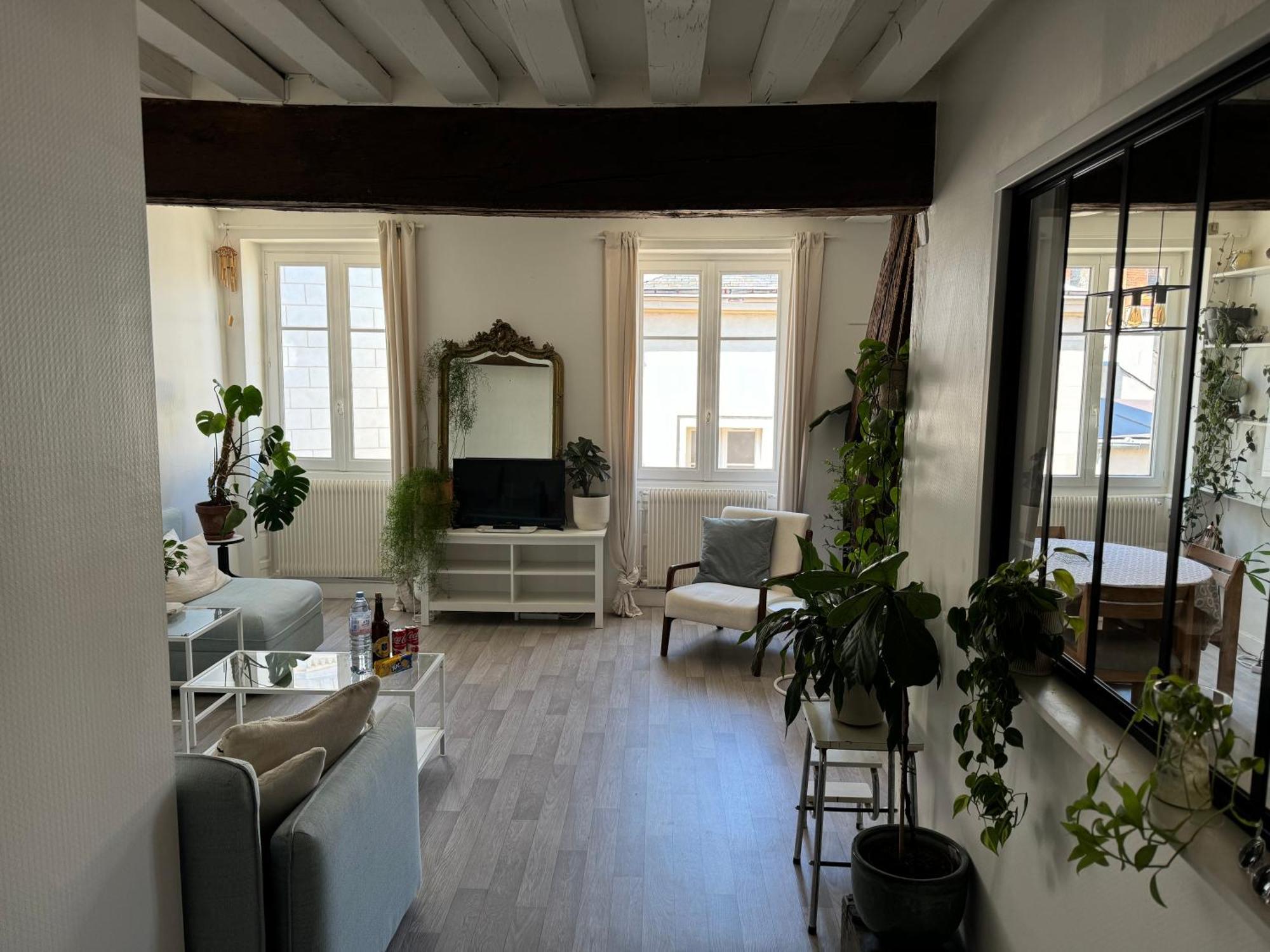 Appartement Central - Orlean Zewnętrze zdjęcie